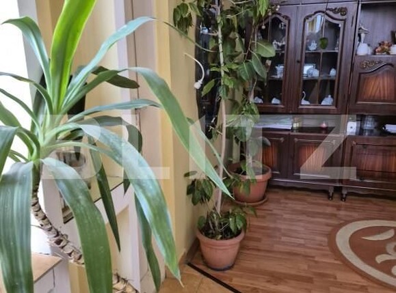 Casa de vânzare 3 camere Central - 164350CV | BLITZ Târgu Mureș | Poza2