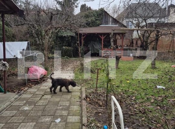 Casa de vânzare 3 camere Central - 164350CV | BLITZ Târgu Mureș | Poza8