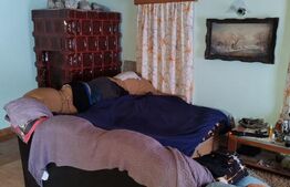 Cabana 3 camere + 1,7 ha teren , Spre Campul Cetatii 