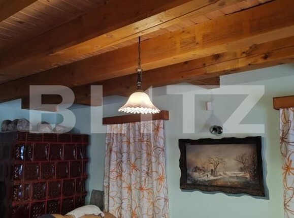 Spațiu comercial de vânzare Eremitu - 164374SVC | BLITZ Târgu Mureș | Poza5