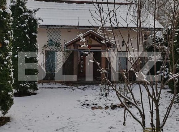 Spațiu comercial de vânzare Eremitu - 164374SVC | BLITZ Târgu Mureș | Poza10