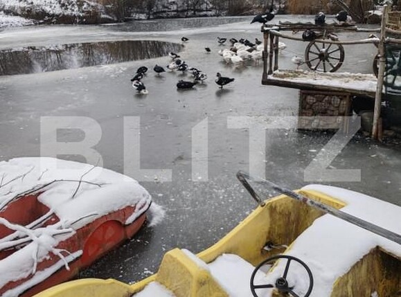 Spațiu comercial de vânzare Eremitu - 164374SVC | BLITZ Târgu Mureș | Poza18