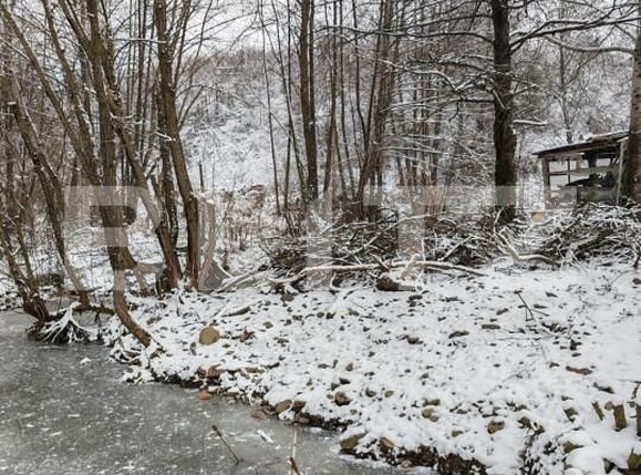 Spațiu comercial de vânzare Eremitu - 164374SVC | BLITZ Târgu Mureș | Poza19