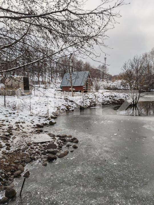 Spațiu comercial de vânzare Eremitu - 164374SVC | BLITZ Târgu Mureș | Poza2