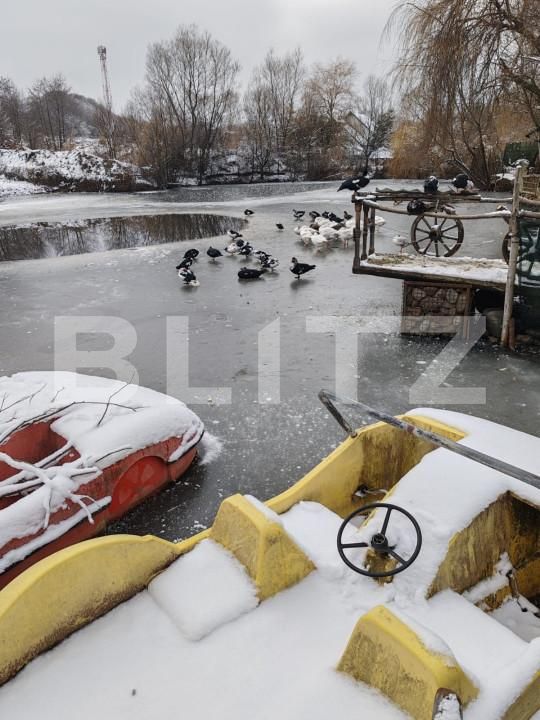 Spațiu comercial de vânzare Eremitu - 164374SVC | BLITZ Târgu Mureș | Poza18