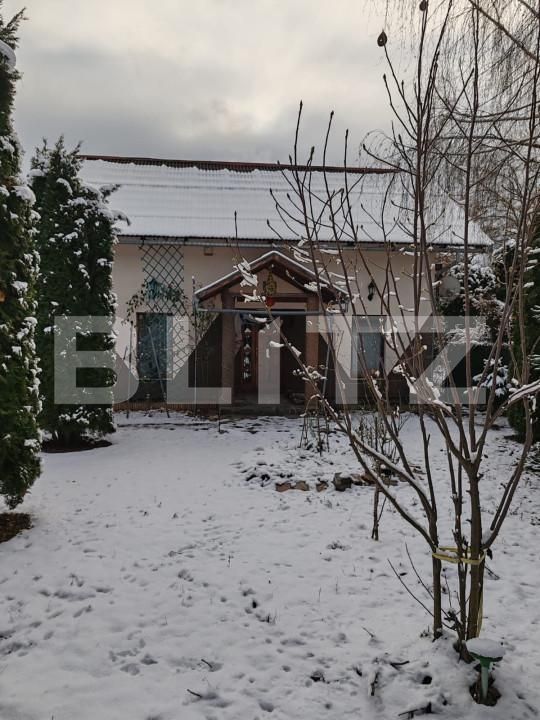 Spațiu comercial de vânzare Eremitu - 164374SVC | BLITZ Târgu Mureș | Poza10