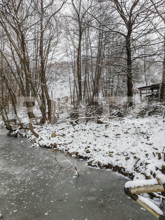 Spațiu comercial de vânzare Eremitu - 164374SVC | BLITZ Târgu Mureș | Poza19