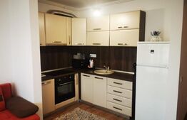 Apartament 1 camera, 40 mp, tip studio, zona Tudor