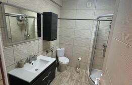 Apartament 1 camera, 40 mp, tip studio, zona Tudor