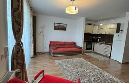 Apartament 1 camera, 40 mp, tip studio, zona Tudor