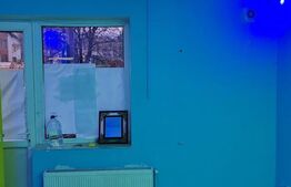 Spatiu comercial  de inchiriat , Tudor , zona Dacia - 60mp plus