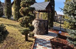 Vila superba de vanzare in zona Livezeni cu priveliste deosebita