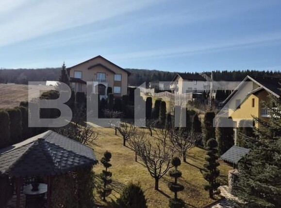 Casa de vânzare 4 camere Livezeni - 165405CV | BLITZ Târgu Mureș | Poza18