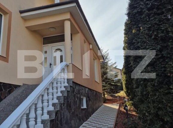 Casa de vânzare 4 camere Livezeni - 165405CV | BLITZ Târgu Mureș | Poza23