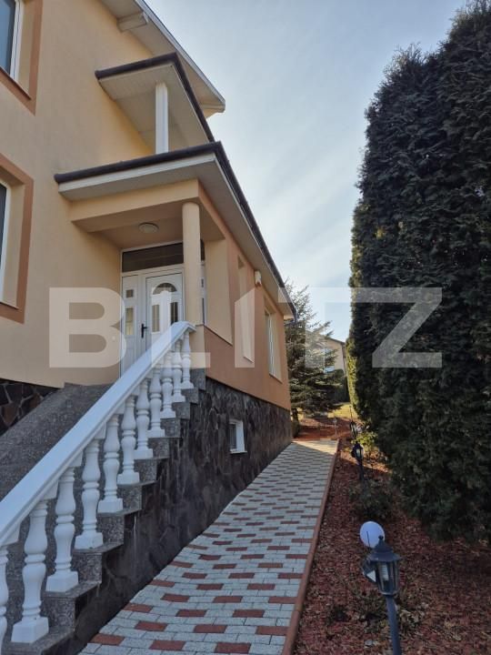 Casa de vânzare 4 camere Livezeni - 165405CV | BLITZ Târgu Mureș | Poza23