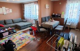 Apartament de vanzare, 3 camere, 56 mp, renovat frumos, zona Pandurilor