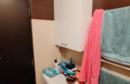 Apartament de vanzare, 3 camere, 56 mp, renovat frumos, zona Pandurilor