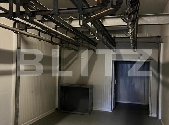 Spațiu industrial de vânzare Reghin - 165783SVI | BLITZ Târgu Mureș | Poza28
