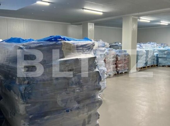 Spațiu industrial de vânzare Reghin - 165783SVI | BLITZ Târgu Mureș | Poza20