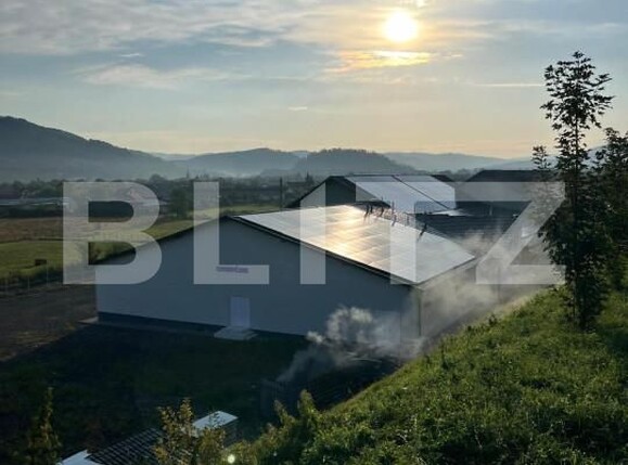 Spațiu industrial de vânzare Reghin - 165783SVI | BLITZ Târgu Mureș | Poza5