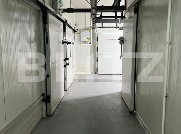 Spațiu industrial de vânzare Reghin - 165783SVI | BLITZ Târgu Mureș | Poza27