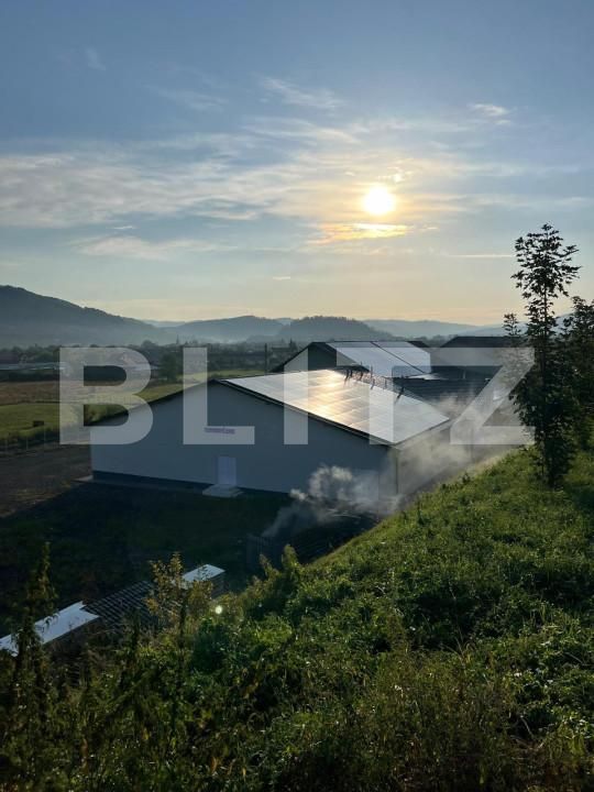 Spațiu industrial de vânzare Reghin - 165783SVI | BLITZ Târgu Mureș | Poza5