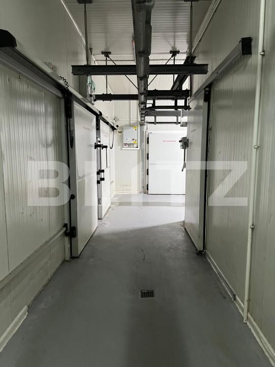 Spațiu industrial de vânzare Reghin - 165783SVI | BLITZ Târgu Mureș | Poza27