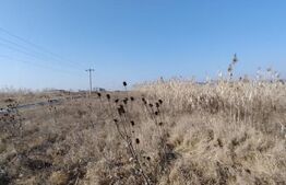 Teren intravilan 3,6 ha Vidrasau