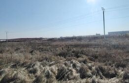 Teren intravilan 3,6 ha Vidrasau