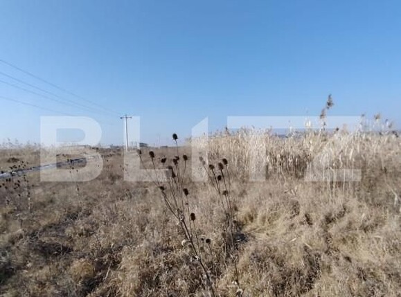 Teren de vânzare Ungheni - 166121TV | BLITZ Târgu Mureș | Poza3