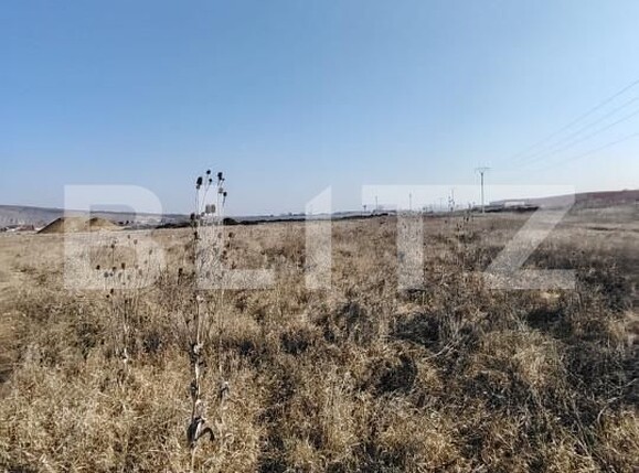 Teren de vânzare Ungheni - 166121TV | BLITZ Târgu Mureș | Poza5