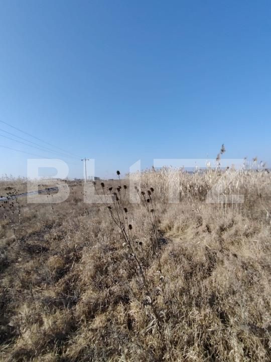 Teren de vânzare Ungheni - 166121TV | BLITZ Târgu Mureș | Poza3