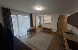 Studio modern in bloc nou, zona Tudor