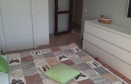 Apartament cu doua camere central