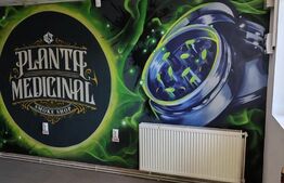 Spatiu comercial , 48 mp , Central 