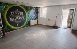 Spatiu comercial , 48 mp , Central 