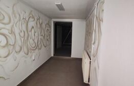 Spatiu comercial , 48 mp , Central 