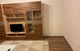 Apartament cu 2 camere, zona Tudor