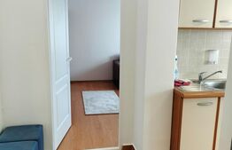 Apartament cu o camera, 38 mp, zona Gara Mica