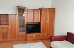 Apartament cu o camera, 38 mp, zona Gara Mica
