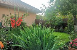 Casa 5 camere, 134 mp, zona Budai