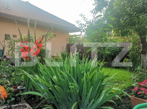 Casa de vânzare 5 camere Budai - 166493CV | BLITZ Târgu Mureș | Poza3