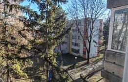 Apartament frumos, 3 camere, renovat, mobilat, utilat, 65 mp, zona Budai