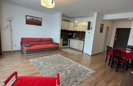 Apartament 1 camera, 40 mp, tip studio, zona Tudor