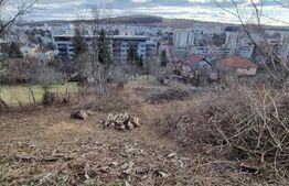 Teren intravilan, 3500 mp, zona Platoul Cornesti