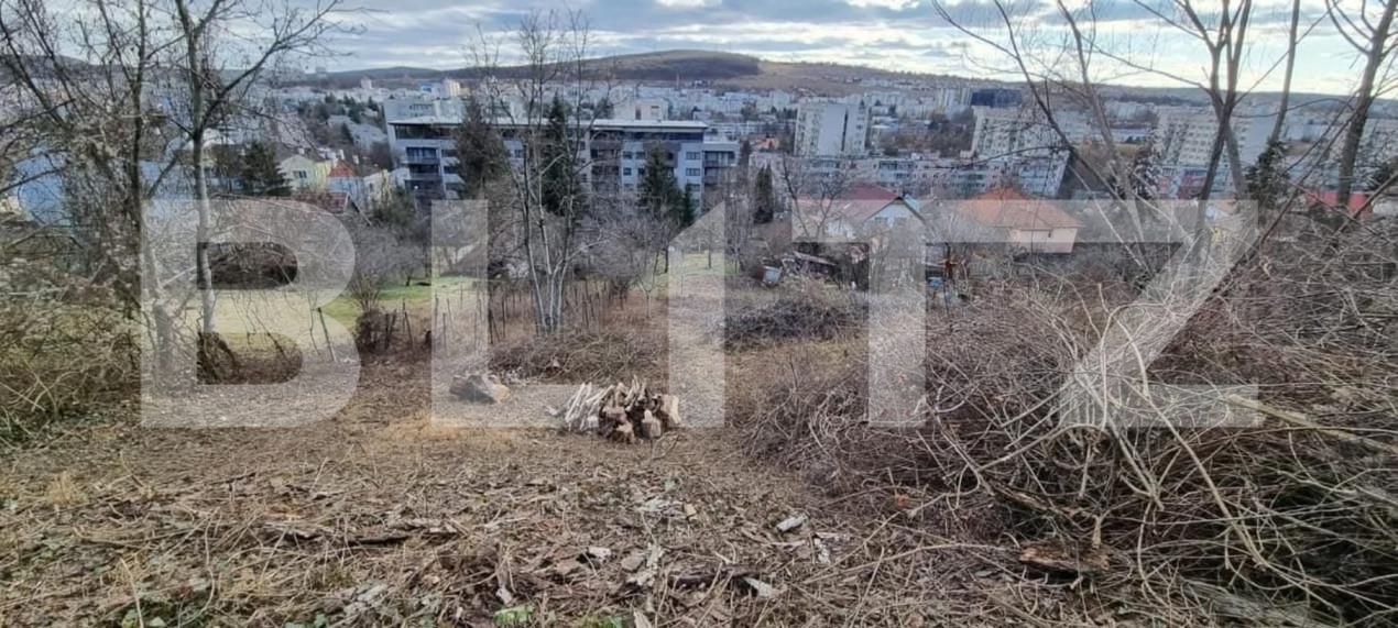 Teren de vânzare Platou - 166703TV | BLITZ Târgu Mureș | Poza1