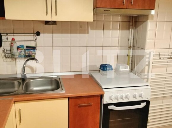 Apartament de închiriat 3 camere Dambu Pietros - 166922AI | BLITZ Târgu Mureș | Poza16