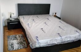 Apartament cu doua camere, zona Dambu