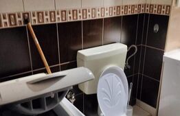 Apartament cu doua camere, zona Dambu