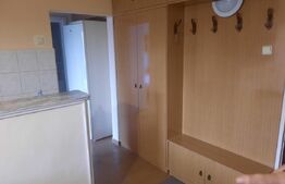 Apartament cu 2 camere 53 mp, zona Tudor 